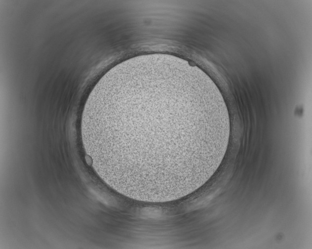 X0000116760394201001281616