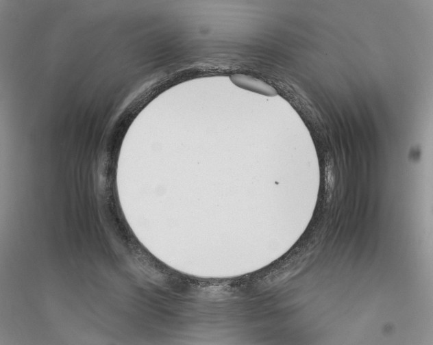 X0000116760396201001281616