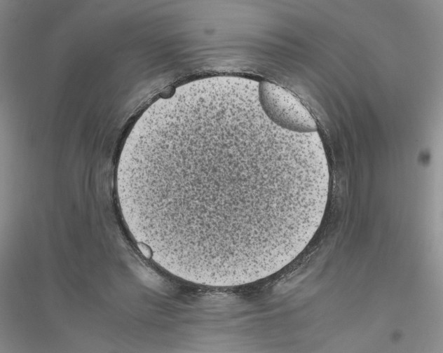 X0000116760397201001281616