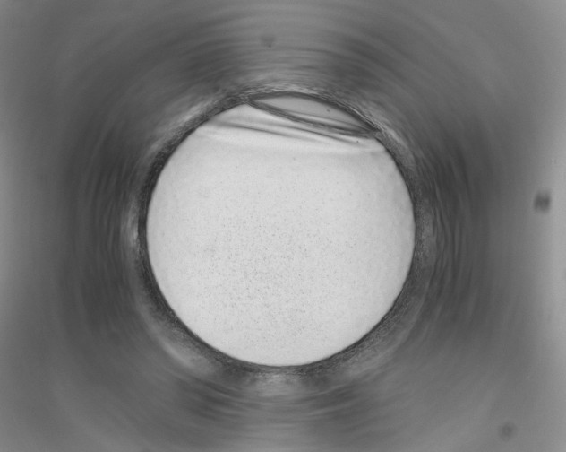 X0000116760398201001281616