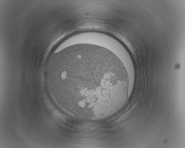 X0000116760399201001281616