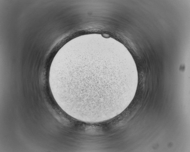 X0000116760400201001281616