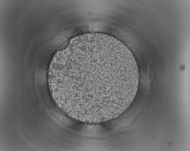 X0000116760401201001281616