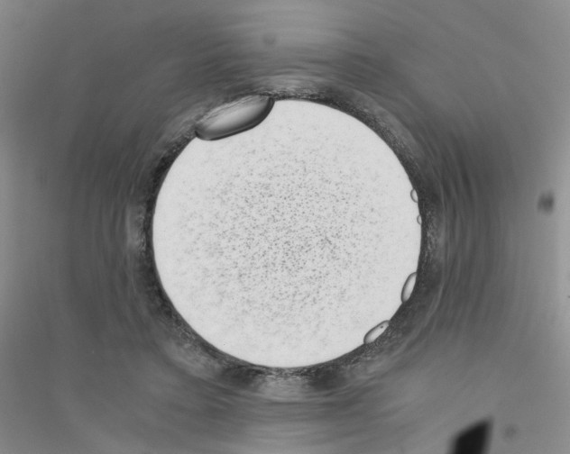 X0000116760403201001281616