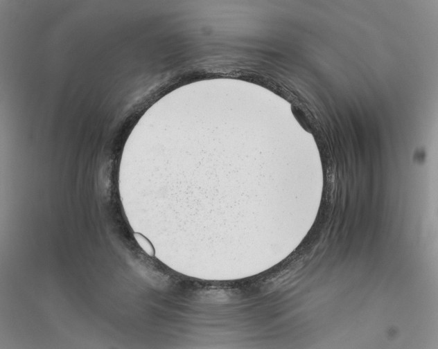 X0000116760404201001281616