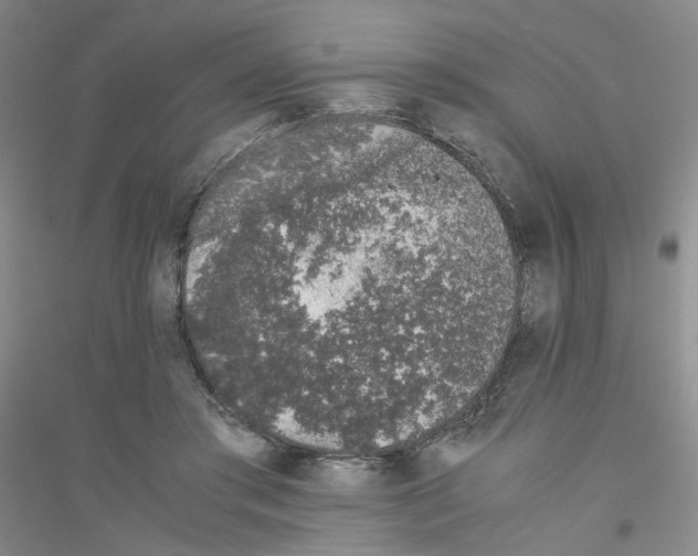 X0000116760405201001281616