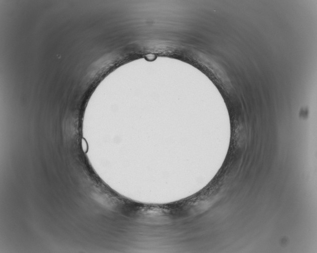 X0000116760407201001281616