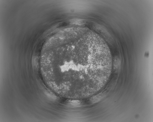 X0000116760409201001281616