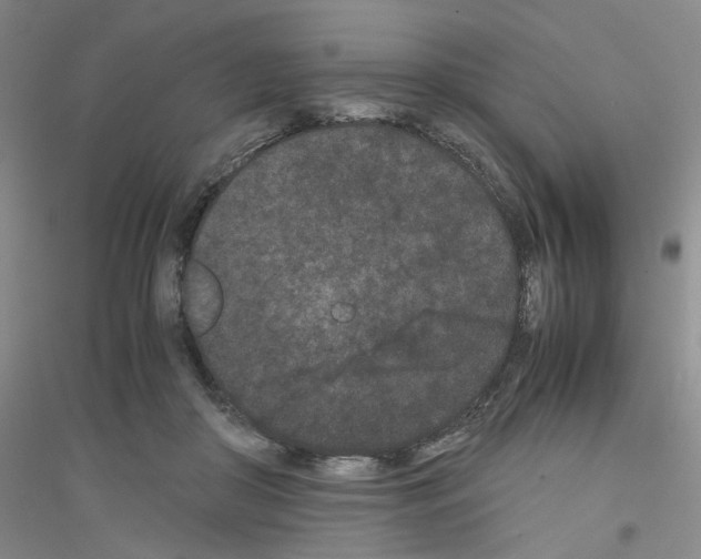 X0000116760410201001281616