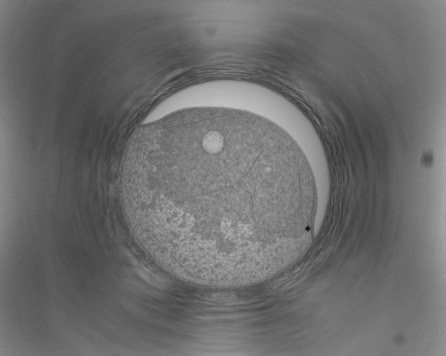 X0000116760413201001281616