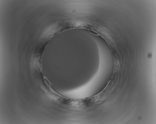 X0000116760415201001281616