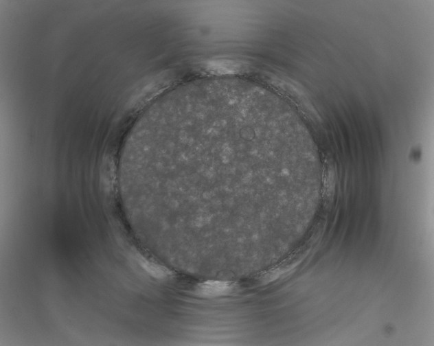 X0000116760418201001281616