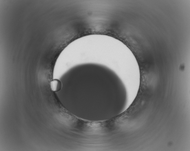 X0000116760419201001281616