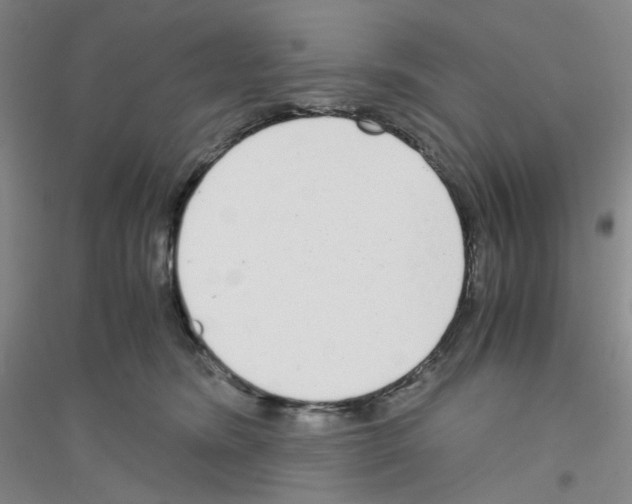 X0000116760420201001281616