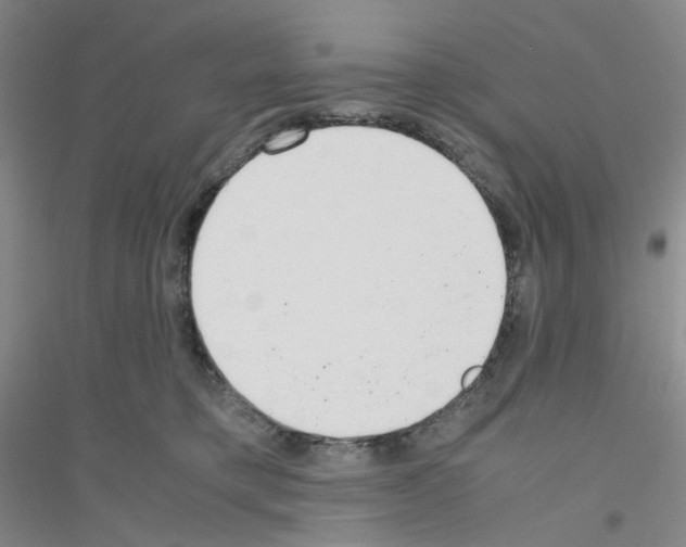 X0000116760421201001281616