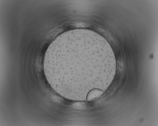 X0000116760422201001281616