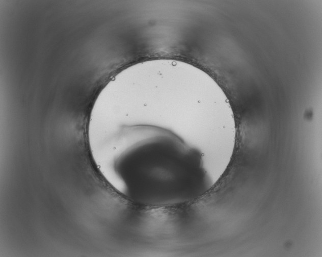 X0000116760423201001281616