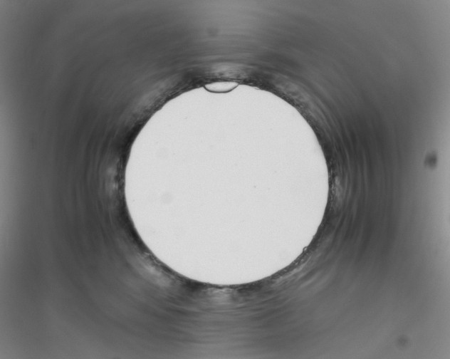 X0000116760424201001281616