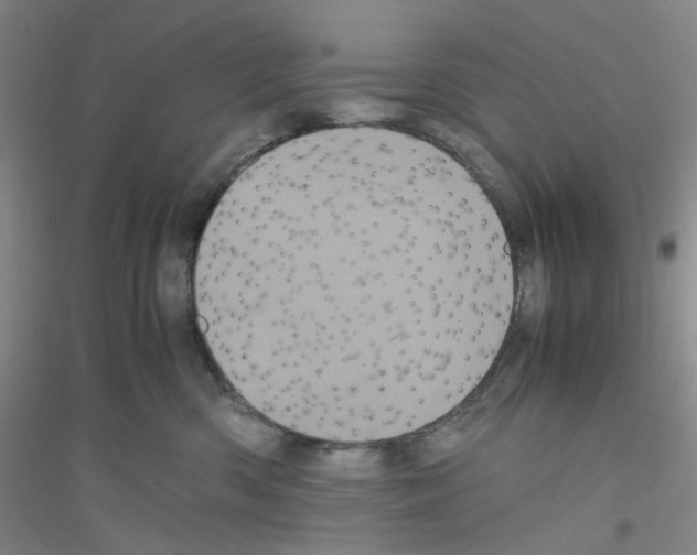 X0000116760426201001281616