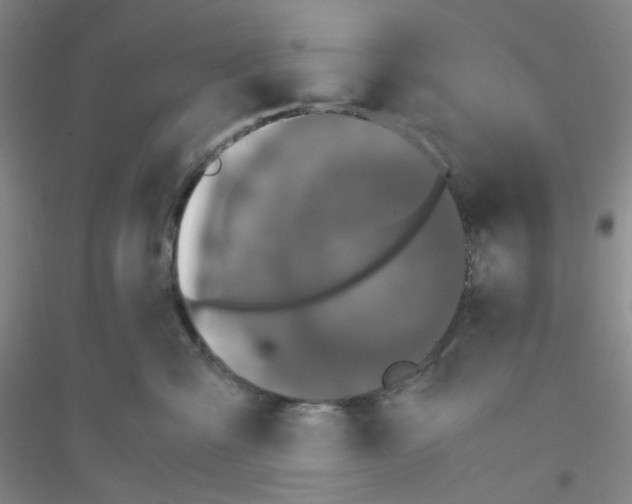 X0000116760427201001281616