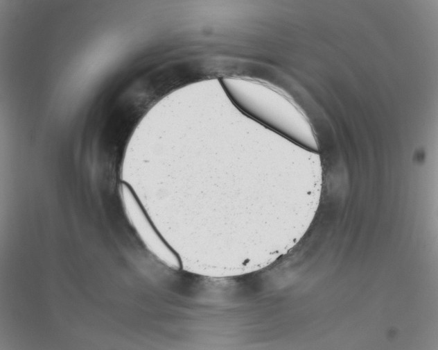 X0000116760429201001281616