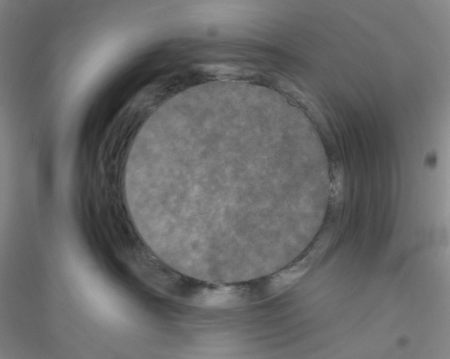 X0000116760430201001281616