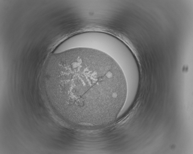 X0000116760433201001281615