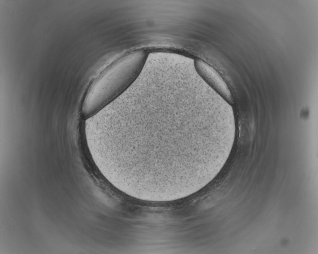 X0000116760436201001281615