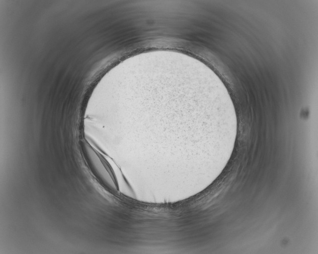 X0000116760437201001281615