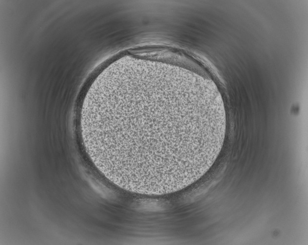 X0000116760439201001281615