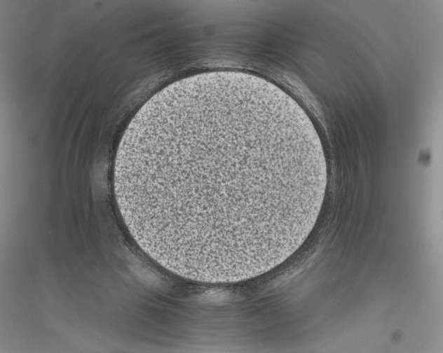 X0000116760441201001281615