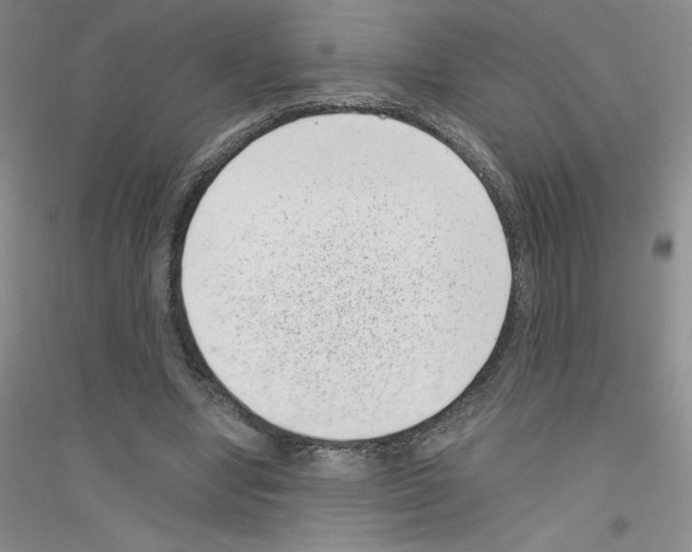 X0000116760442201001281615