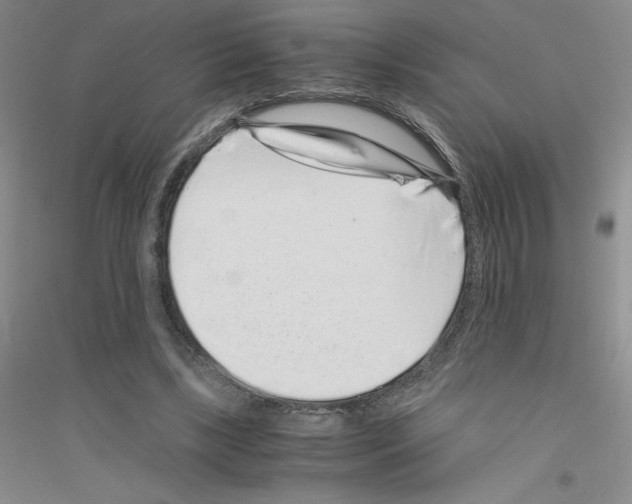 X0000116760443201001281615