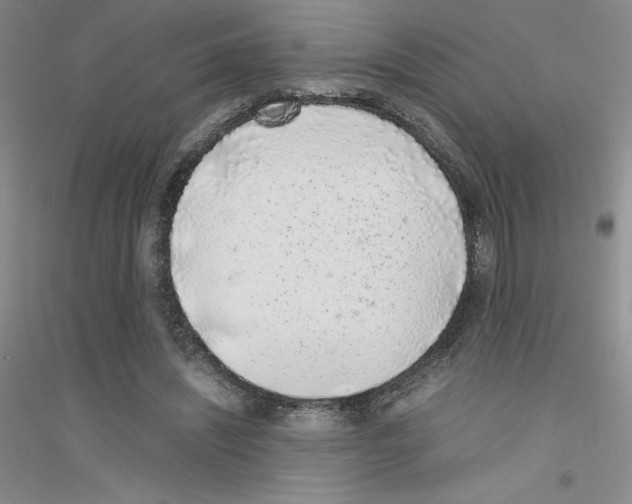 X0000116760444201001281615