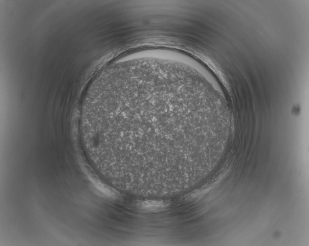 X0000116760445201001281615