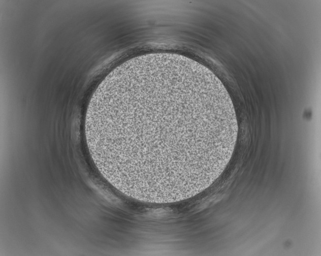 X0000116760446201001281615