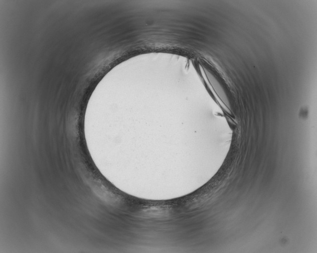 X0000116760447201001281615