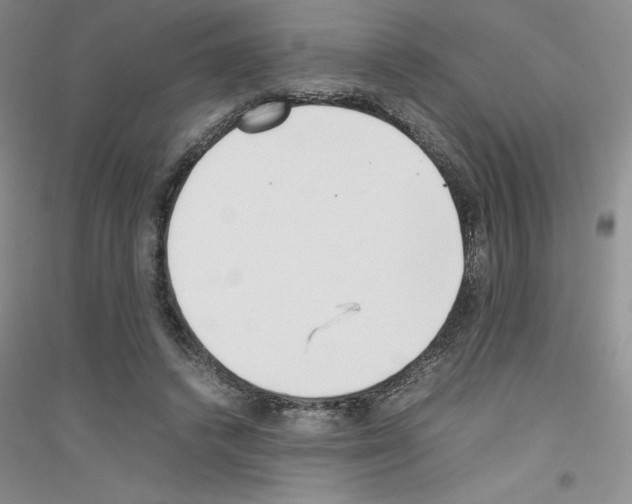 X0000116760448201001281615