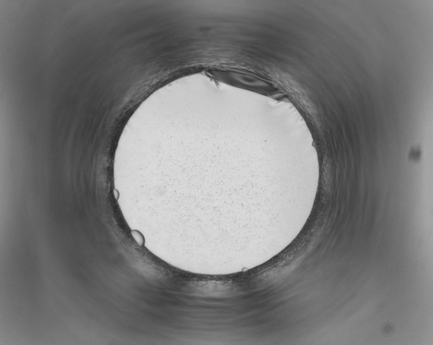 X0000116760449201001281615