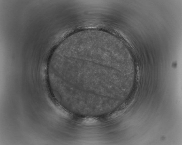 X0000116760451201001281615