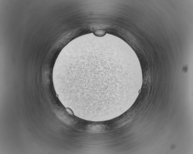 X0000116760452201001281615