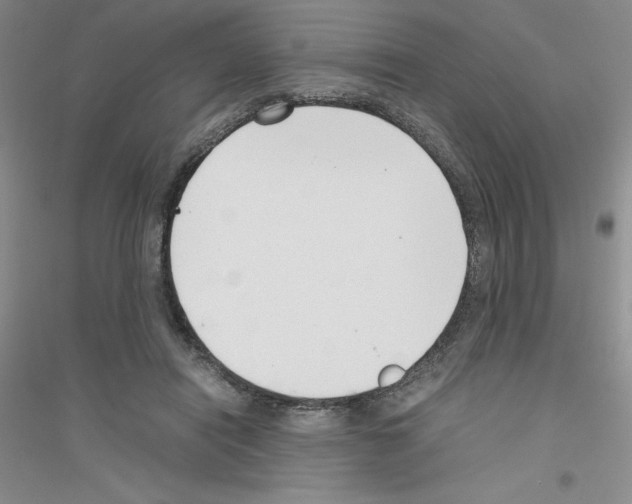 X0000116760454201001281615