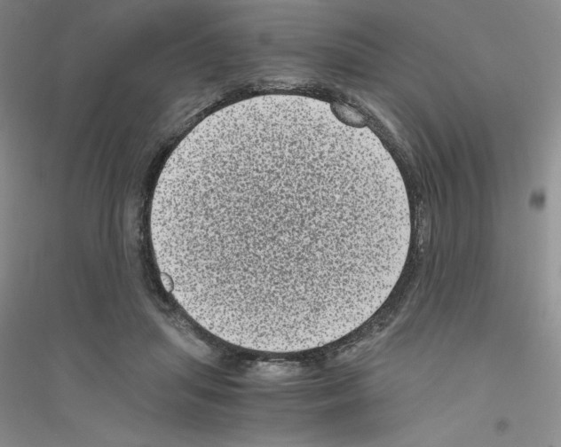 X0000116760455201001281615