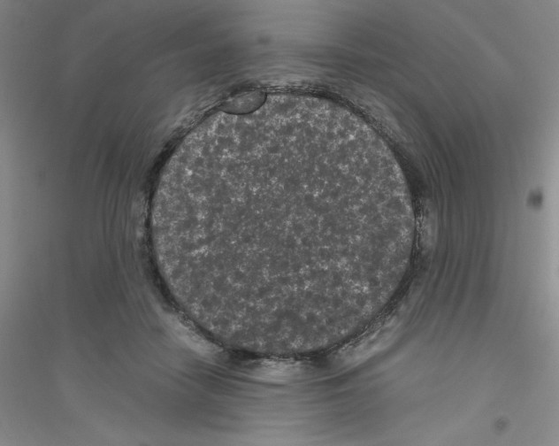 X0000116760458201001281615