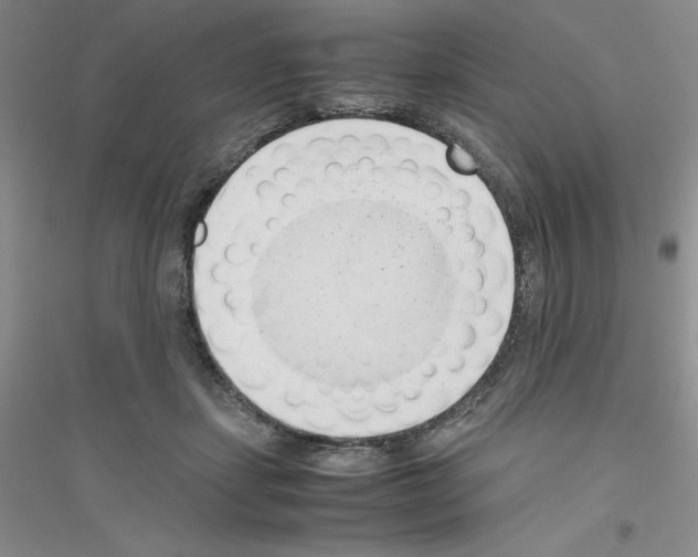 X0000116760459201001281615