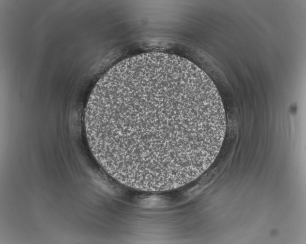 X0000116760460201001281615