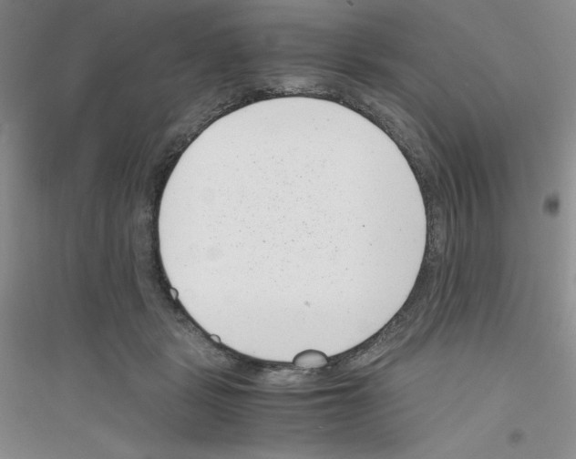 X0000116760461201001281615