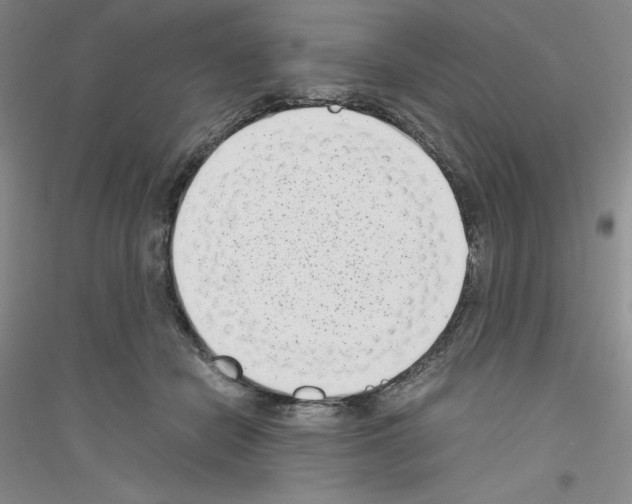 X0000116760462201001281615