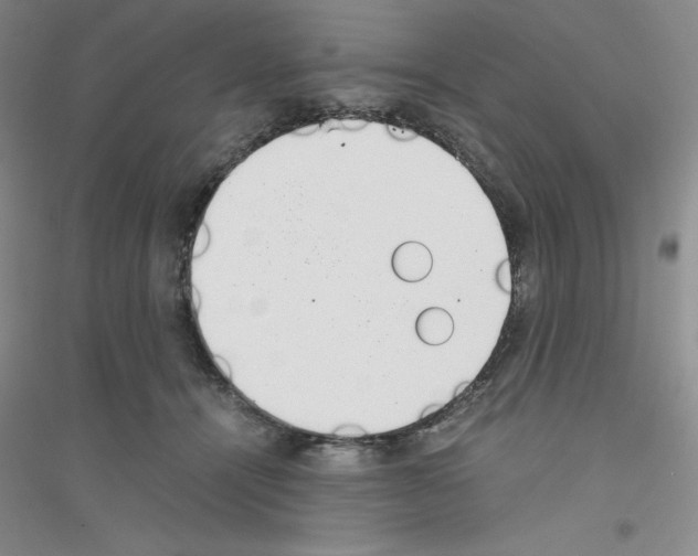 X0000116760464201001281615