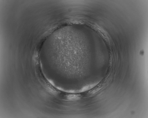 X0000116760465201001281615